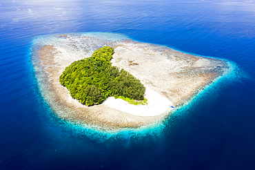 Tropical island at Dampier Strait, Raja Ampat, West Papua, Indonesia