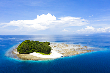 Tropical island at Dampier Strait, Raja Ampat, West Papua, Indonesia