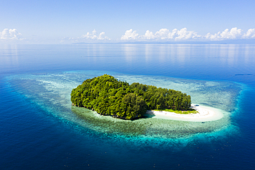 Tropical island at Dampier Strait, Raja Ampat, West Papua, Indonesia