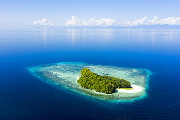 Tropical island at Dampier Strait, Raja Ampat, West Papua, Indonesia