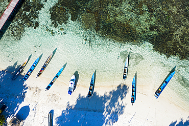 Beach of Sauwandarek Village, Raja Ampat, West Papua, Indonesia