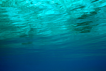 Water surface from underwater, Raja Ampat, West Papua, Indonesia