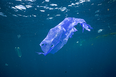 Trash floating in ocean, Raja Ampat, West Papua, Indonesia