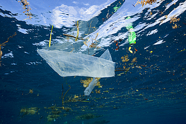 Trash floating in ocean, Raja Ampat, West Papua, Indonesia