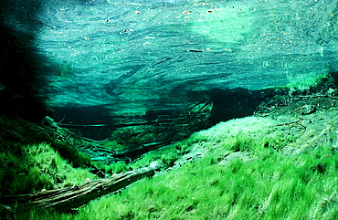 spring, mountain spring, mountain lake, Austria, Tirol