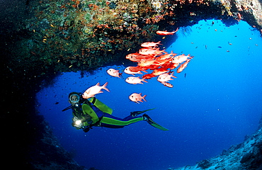 Scuba diver and Blotcheye soldierfishes, Underwater cave, Myripristis murdjan, Maldives Islands, Indian ocean, Ari Atol, Atoll