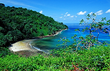 Cocos island, Costa Rica, South america, Cocos Island, South america, Latin america