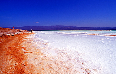 Lac Assal, Lake Assal, Djibouti, Djibuti, Africa, Afar Triangle