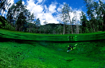 spring, mountain spring, mountain lake, scuba diver, split image, Austria, Steiermark, Gruener See
