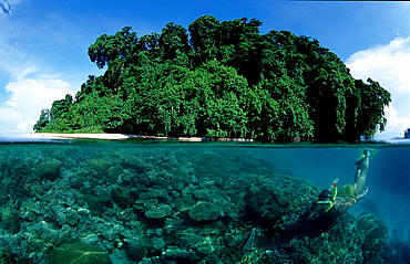 Snorkeling, scin diver, split image, Papua New Guinea, Pacific ocean