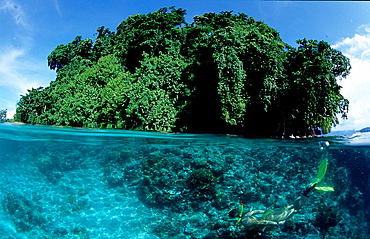 Snorkeling, scin diver, split image, Papua New Guinea, Pacific ocean