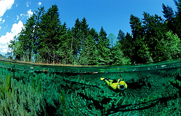 freshwater spring and scindiver, Germany, Bavaria