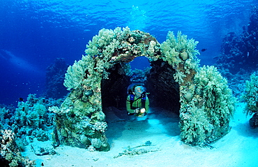 Scuba diver and Jacques Cousteau's Precontinent 2, Shaab Rhumi, Sudan, Red Sea, Africa