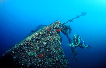 Scuba diver diving on Umbria shipwreck, Wingate Reef, Sudan, Red Sea, Africa