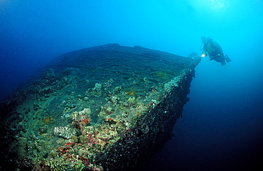 Scuba diver diving on Umbria shipwreck, Wingate Reef, Sudan, Red Sea, Africa