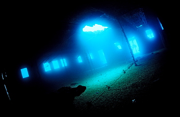 Umbria shipwreck, Wingate Reef, Sudan, Red Sea, Africa