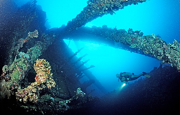 Scuba diver diving on Umbria shipwreck, Wingate Reef, Sudan, Red Sea, Africa