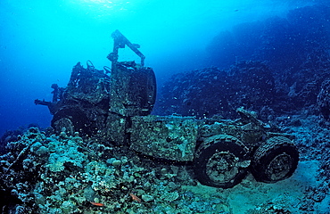 Car wreck near Blue Belt shipwreck,  Sudan, Africa, Red Sea