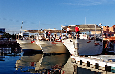 Club Cantamar diving boat, La Paz, Baja California, Sea of Cortez, Mexico, North America