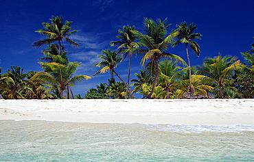 Sandy beach, Punta Cana, Dominican Republic, West Indies, Caribbean, Central America