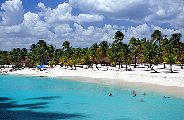 Turquoise blue sea and sandy beach, Catalina Island, Dominican Republic, West Indies, Caribbean, Central America