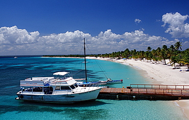 Tourist boat and sandy beach, Catalina Island, Dominican Republic, West Indies, Caribbean, Central America