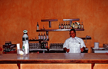 Barkeeper, Punta Cana, Dominican Republic, West Indies, Caribbean, Central America