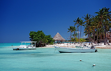 Turquoise blue bay, Punta Cana, Dominican Republic, West Indies, Caribbean, Central America