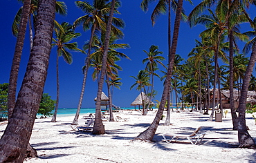 Sandy beach, Punta Cana, Dominican Republic, West Indies, Caribbean, Central America