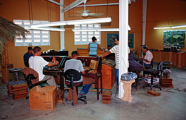 Cigar production, Punta Cana, Dominican Republic, West Indies, Caribbean, Central America