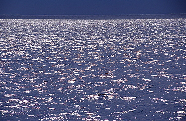 Water reflection, Caribbean Sea, Dominican Republic, West Indies, Caribbean, Central America