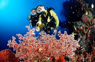 Two scuba divers examine ship wreck Liberty, Bali, Tulamben, Indian Ocean, Indonesia, Southeast Asia, Asia