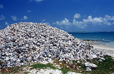 Conch houses on the beach, Netherlands Antilles, Bonaire, Bonaire