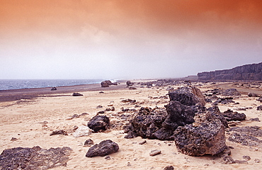 Desert landscape, Netherlands Antilles, Bonaire, Bonaire, Washington Slagbaai National Park, Suplad?