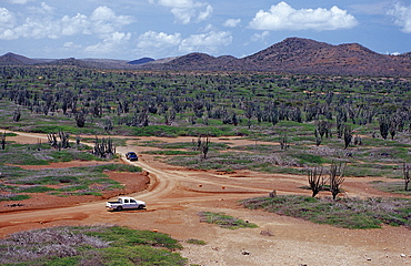 Desert landscape, Netherlands Antilles, Bonaire, Bonaire, Washington Slagbaai National Park