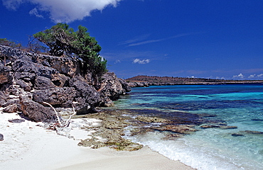 Coastel scenic of Bonaire, Netherlands Antilles, Bonaire, Caribbean Sea, Washington Slagbaai National Park, Wayaka