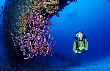 Scuba diver on the Hilma Hooker Ship Wreck, Netherlands Antilles, Bonaire, Caribbean Sea