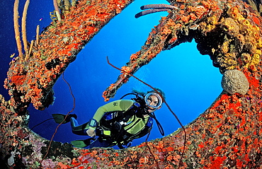 Scuba diver on the Hilma Hooker Ship Wreck, Netherlands Antilles, Bonaire, Caribbean Sea