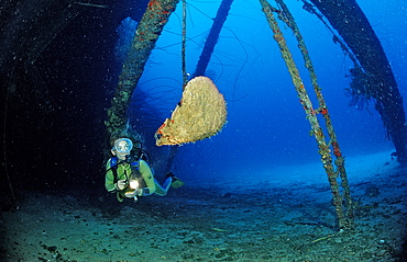 Scuba diver on the Hilma Hooker Ship Wreck, Netherlands Antilles, Bonaire, Caribbean Sea