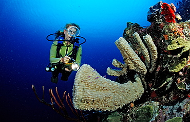 Scuba diver and coral reef, Saint Lucia, French West Indies, Caribbean Sea