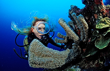 Scuba diver and coral reef, Saint Lucia, French West Indies, Caribbean Sea