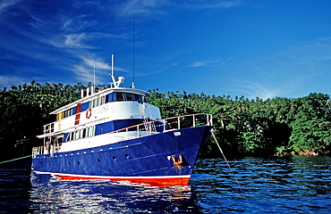 Liveaboard Febrina, Papua New Guinea, Bismarck Sea