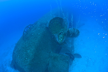 Propeller, Screw of Wreck USS Anderson Destroyer, Marshall Islands, Bikini Atoll, Micronesia, Pacific Ocean