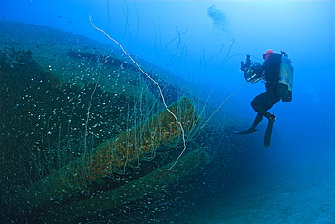 Diver at 12-inch Guns of USS Arkansas Battleship, Marshall Islands, Bikini Atoll, Micronesia, Pacific Ocean