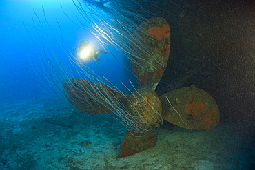 Diver at Propeller of USS Carlisle Attack Transporter, Marshall Islands, Bikini Atoll, Micronesia, Pacific Ocean