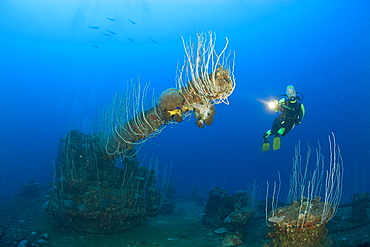 Diver and 5-inch Gun of USS Carlisle Attack Transporter, Marshall Islands, Bikini Atoll, Micronesia, Pacific Ocean