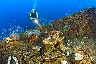 Diver discover Artifacts at Wreck of USS Carlisle Attack Transporter, Marshall Islands, Bikini Atoll, Micronesia, Pacific Ocean