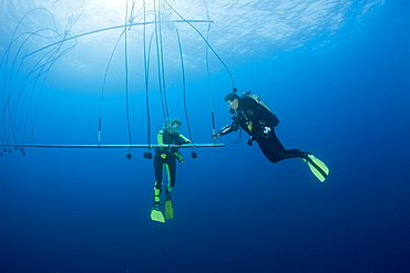 Divers breathe pure Oxygen after deep Wreckdive at Decompression Trapeze, Marshall Islands, Bikini Atoll, Micronesia, Pacific Ocean