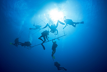 Divers at Decompression Trapeze after deep Wreckdive, Marshall Islands, Bikini Atoll, Micronesia, Pacific Ocean