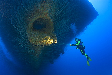 Diver at Anchor Hawse Hole at Bow of USS Saratoga, Marshall Islands, Bikini Atoll, Micronesia, Pacific Ocean